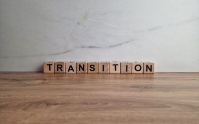 Career Transitions in Our 30s